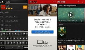 blackberry10-netflix